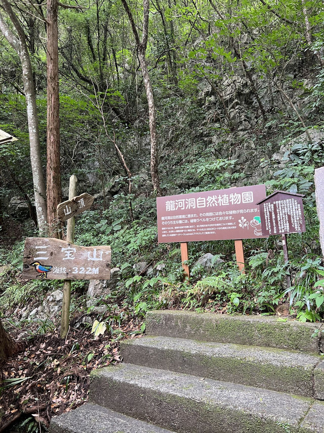 【高知旅行】土佐／南国の秘境✨️自然の神秘を感じる鍾乳洞