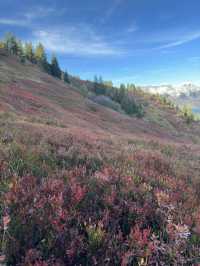Explore Alpine Adventure on the Trails of Flumserberg, Switzerland