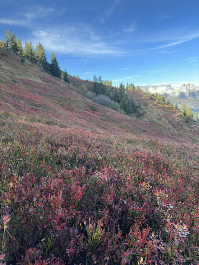 Explore Alpine Adventure on the Trails of Flumserberg, Switzerland