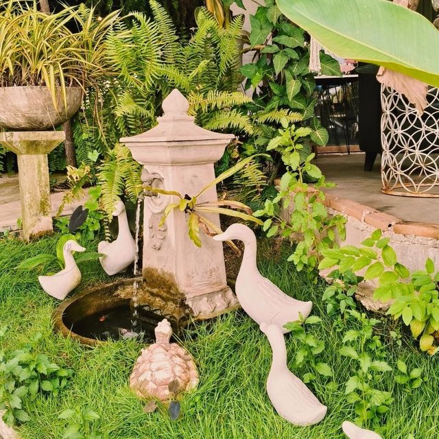🥗 ร้านอาหารท่าลาดบางคล้า
