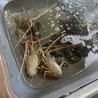 ชายทะเล ร้านอาหารทะเลชื่อดังบนเกาะลันตา