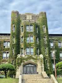 DISCOVER YONSEI UNIVERSITY | SEOUL'S PRESTIGIOUS AND ICONIC CAMPUS 