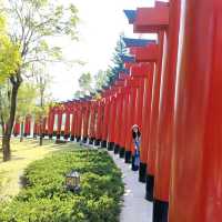 Hinoki Land