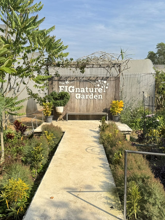 The FIGnature Garden คาเฟ่ร้านอาหารบรรยากาศดี