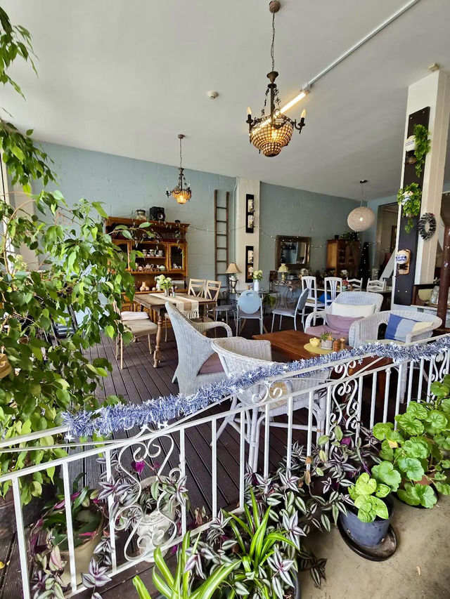 Lemon Tree Cafe
