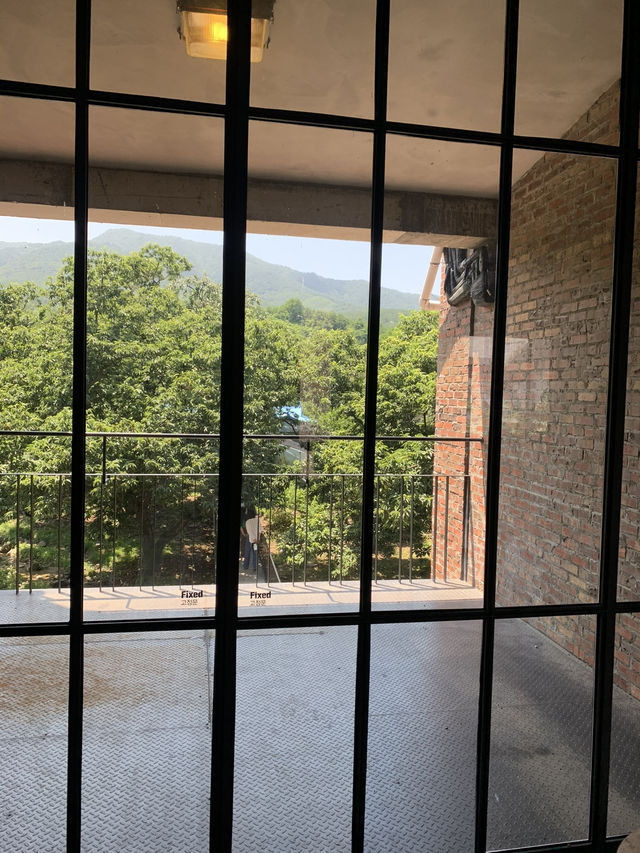  강릉가면 무조건 가봐야할 카페 테라로사 커피공장 강릉본점