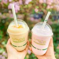 Cotnutink Singapore