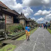 Penglipuran Village in Bali Island