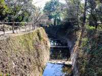 【鹿児島県】 雄大な桜島を一望できる借景庭園『仙巌園』