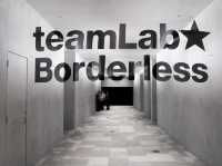 沉浸式藝術的極致體驗—東京麻布台之丘 teamLab Borderless 參訪心得