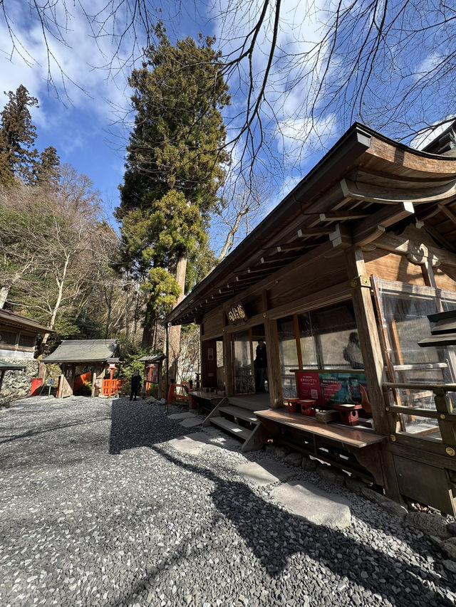 Magnificent Kifune Shrine, Kyoto 🇯🇵