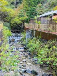 完全源泉かけ流し温泉と上質な料理で身も心も大満足！「十津川温泉郷 湯乃谷千慶」