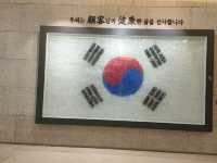 にんじん博物館⁉️ 【🇰🇷高麗人参博物館】