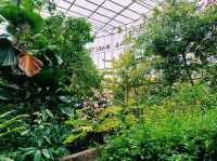 泰國曼谷特色博物館景點:曼谷蝴蝶館。免費參觀，適合打卡拍照📸親子遊