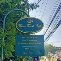 Lovely cafe