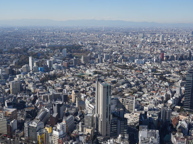 從晴空塔俯瞰絕美東京，東京最出片的地方！🇯🇵🗾