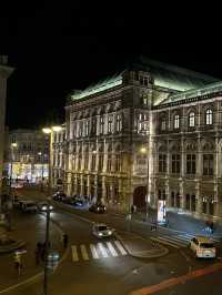 Experience the Magic of Vienna by Night