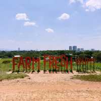 Fresh From the Farm: A Dairy Delight at Farm Fresh @UPM!