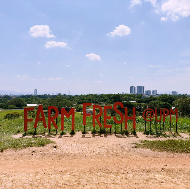 Fresh From the Farm: A Dairy Delight at Farm Fresh @UPM!