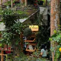 คาเฟ่แม่กำปอง เชียงใหม่