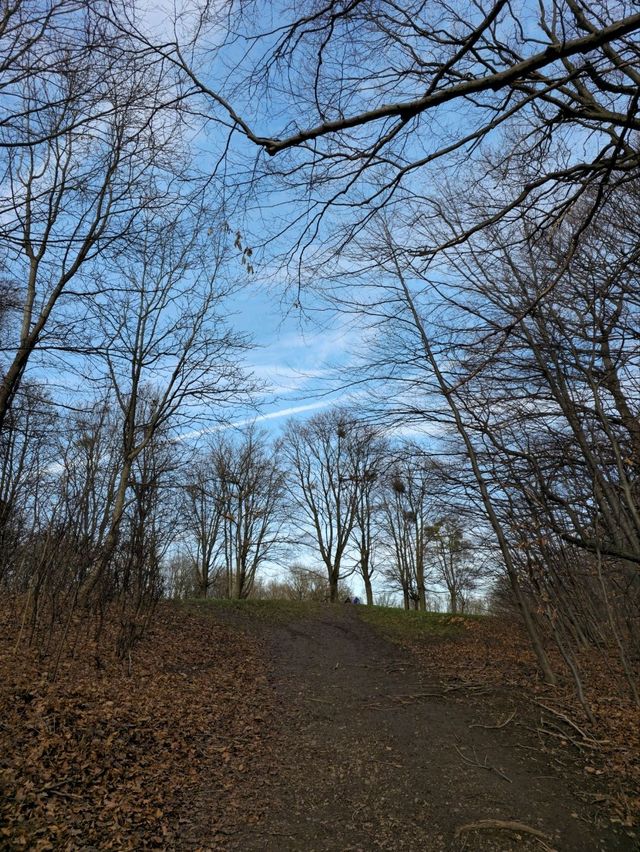 유럽여행 하이킹하기에 좋은 비엔나 Ottakringer Wald