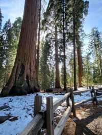Kings Canyon is more than just a scenic destination