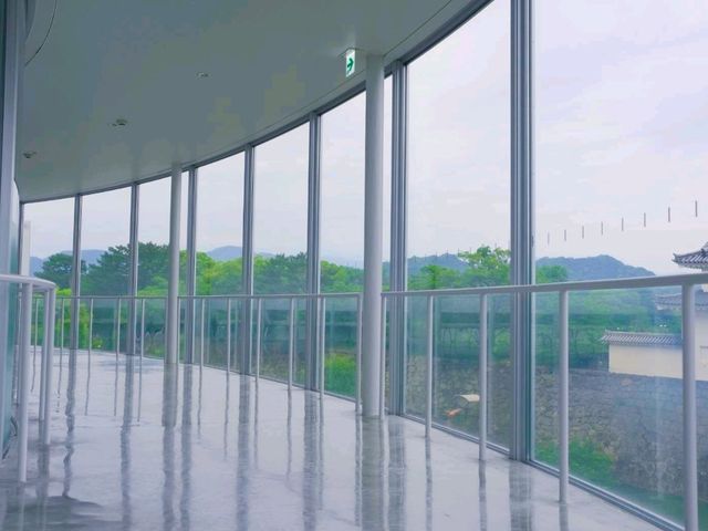 【駿府城下町（②徳川家の開明と城郭）】（静岡県静岡市　旧国名：駿河）