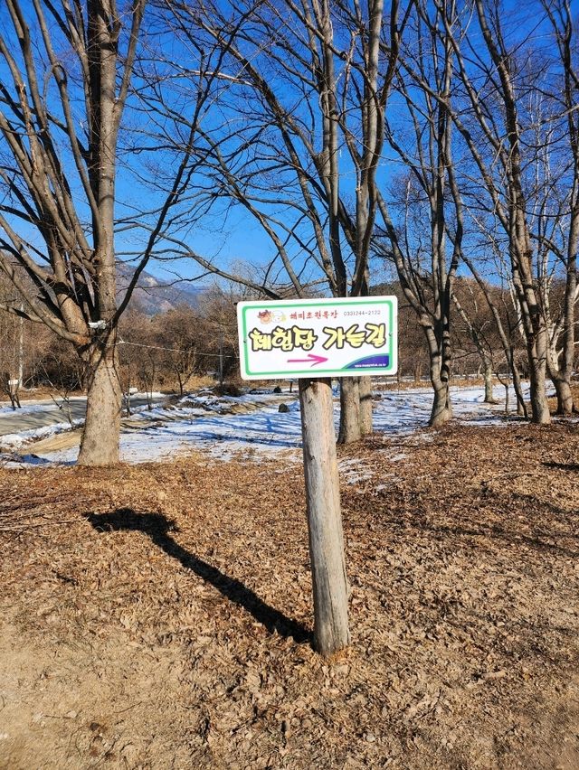 춘천여행 필수코스 먹이주기 체험할 수 있는 목장🐑