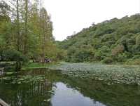 宜蘭員山景點-福山植物園