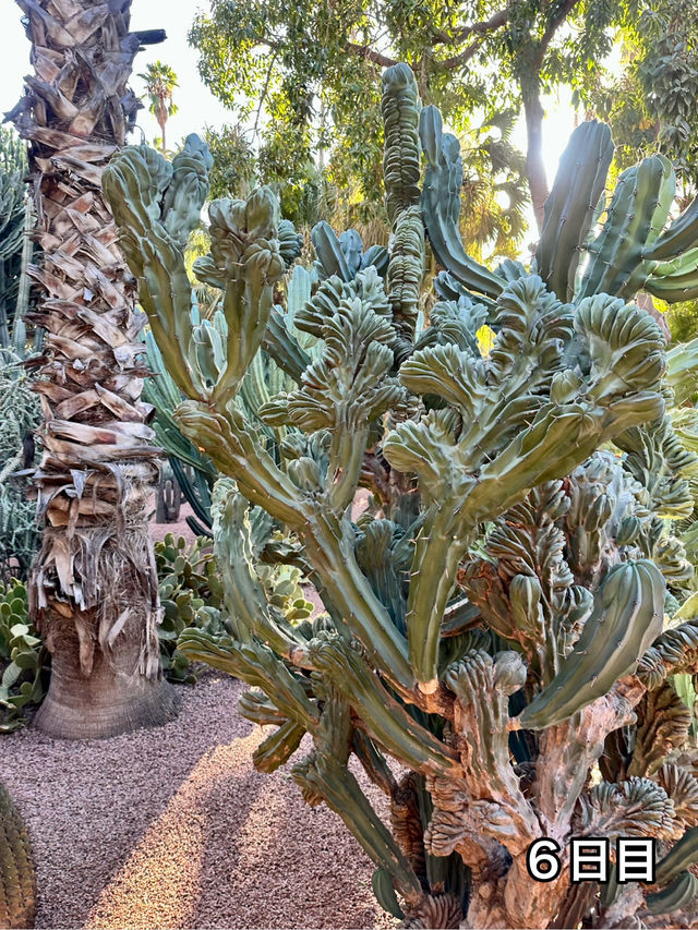 🇲🇦 モロッコ旅行記　VOL.3