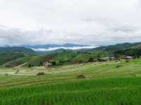 นาขั้นบันได บ้านป่าปงเปียง 🌾