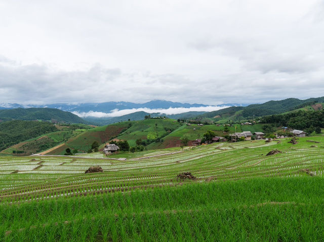 นาขั้นบันได บ้านป่าปงเปียง 🌾