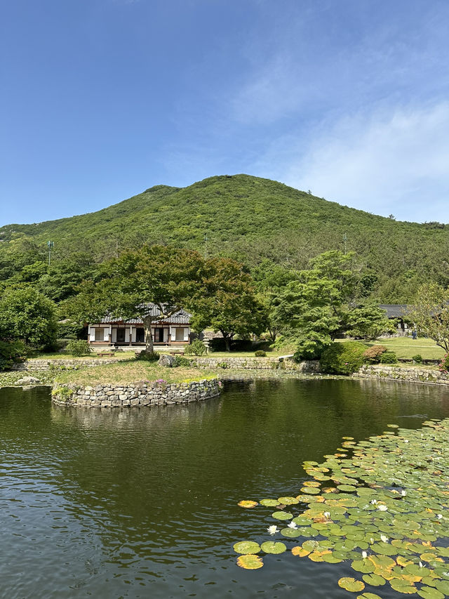 전남 진도 야외데이트하기 좋은 운림산방