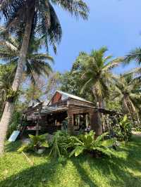 คาเฟ่ริมเขา บางพระ ศรีราชา 🍃🌳