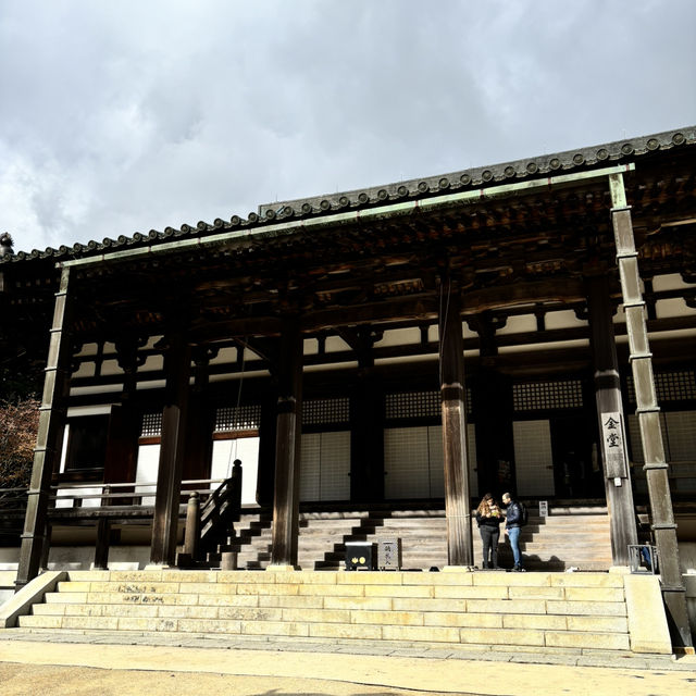 🇯🇵【和歌山】高野山真言宗 壇上伽藍✨