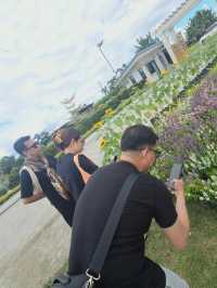 Go to garden in a day 🌻🌼🌺🌾🌷🏵🌸