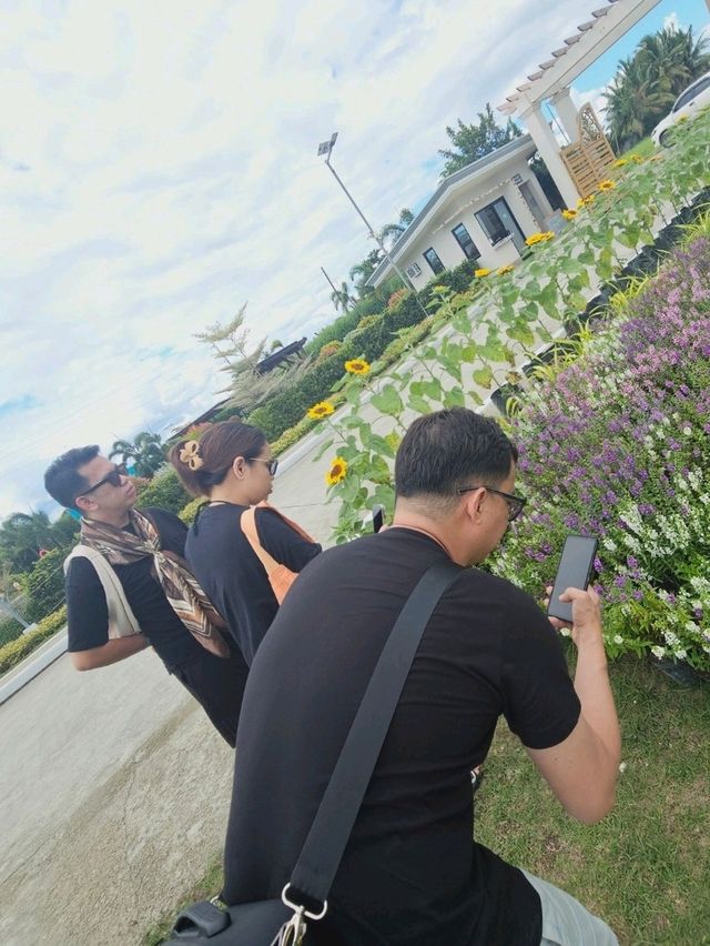 Go to garden in a day 🌻🌼🌺🌾🌷🏵🌸