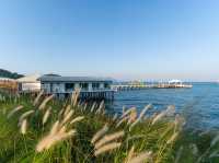 เกาะล้าน Rimtalay Resort Koh Larn