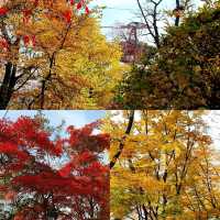 Seoul 