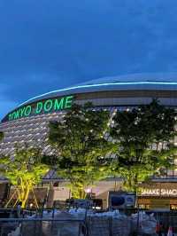 most visited within tokyo dome