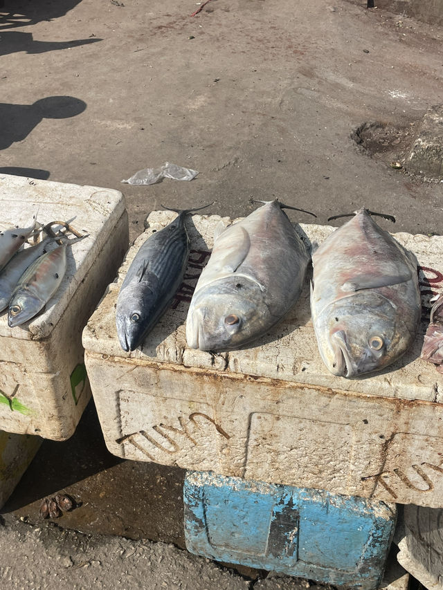 Tambolaka’s Fish Street: A Morning of Fresh Catch and Conversation 