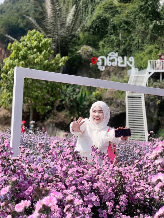 ภูเวียง คาเฟ่ 💐