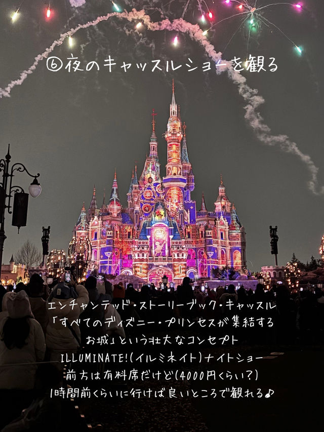上海ディズニーランドでやりたいことリスト
