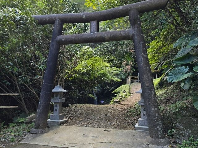 國頭郡山原森林--位於沖繩島北部的自然瑰寶 