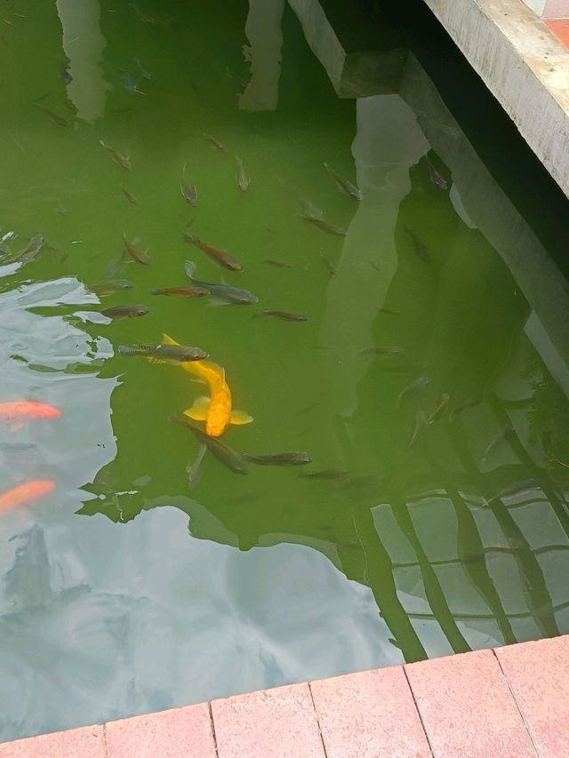 โรงแรมที่ดีที่สุด