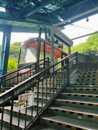 日本三大渓谷美！絶景の寒霞渓を空中散歩🚠🍁