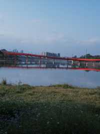 深圳免費公園｜光明虹橋超出片