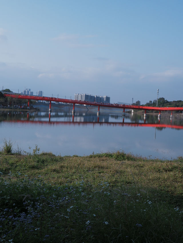 深圳免費公園｜光明虹橋超出片