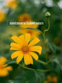 12 ที่เที่ยวเมืองรถม้า I นครลำปาง