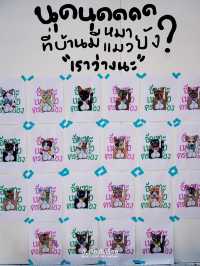 งานนืทรรศการสำหรับคนรักแมว